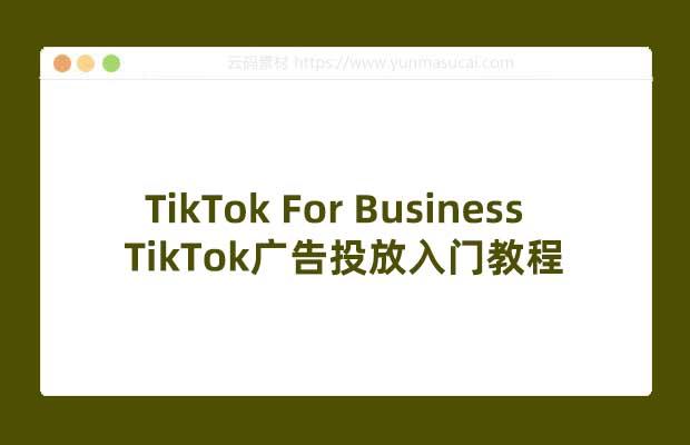 TikTok For Business TikTok广告投放入门教程